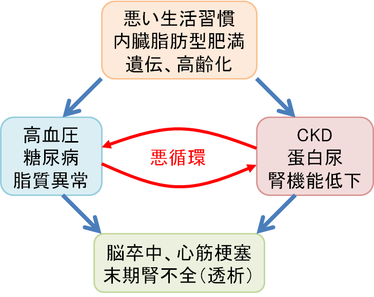 121014 CKD.png